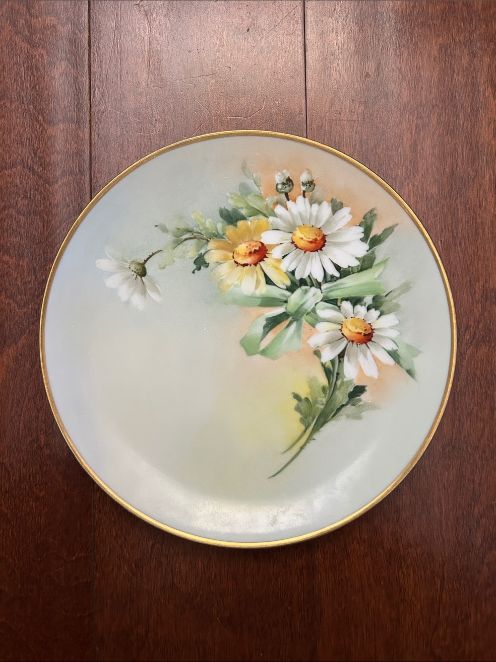 Vintage Gotham Austria Cottagecore Ceramic Daisy Plate, Perfect for Deserts